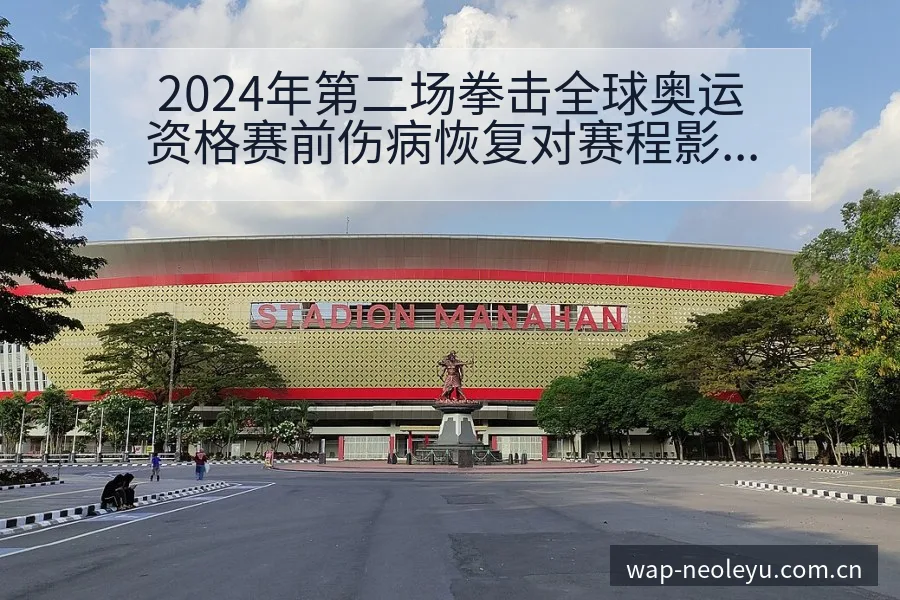 2024年第二场拳击全球奥运资格赛前伤病恢复对赛程影响 - 发现每一次不同